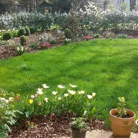 Sunny Garden Flat In Lägenhet *